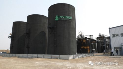 金灿生物燃料 引领绿色能源革命，打造首家可再生燃料生产厂